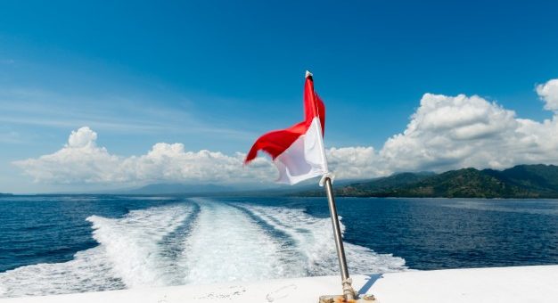 Speed boat antifouling