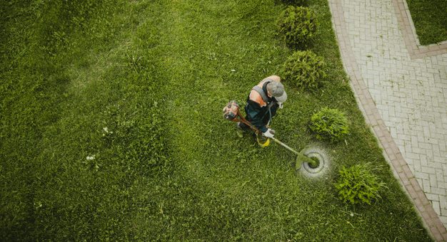 Motorna žaga Stihl