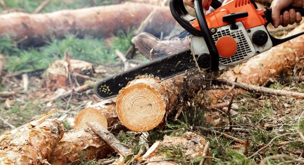 motorna žaga Stihl